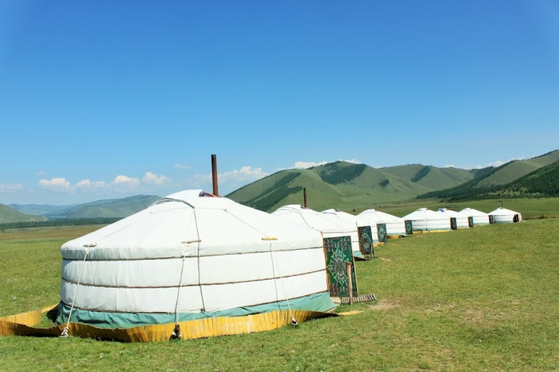 Into the Wild (Jalman Meadows Ger Camp)